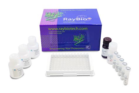 abcam vegf elisa kit|elisa test kit buy online.